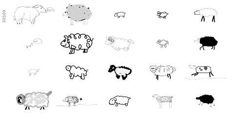 drawn lamb